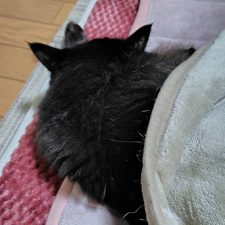 28754586 0856 4ced a0a2 c9033213fd16 1730954182792