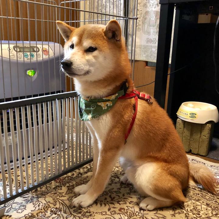 287568cb 69c8 4273 942a 1d6f238dd12d 1550142559820