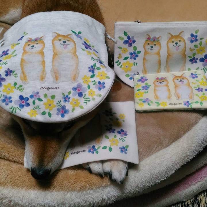 2875b61d 1419 48e4 92b1 61381ea7a93c 1527342138171