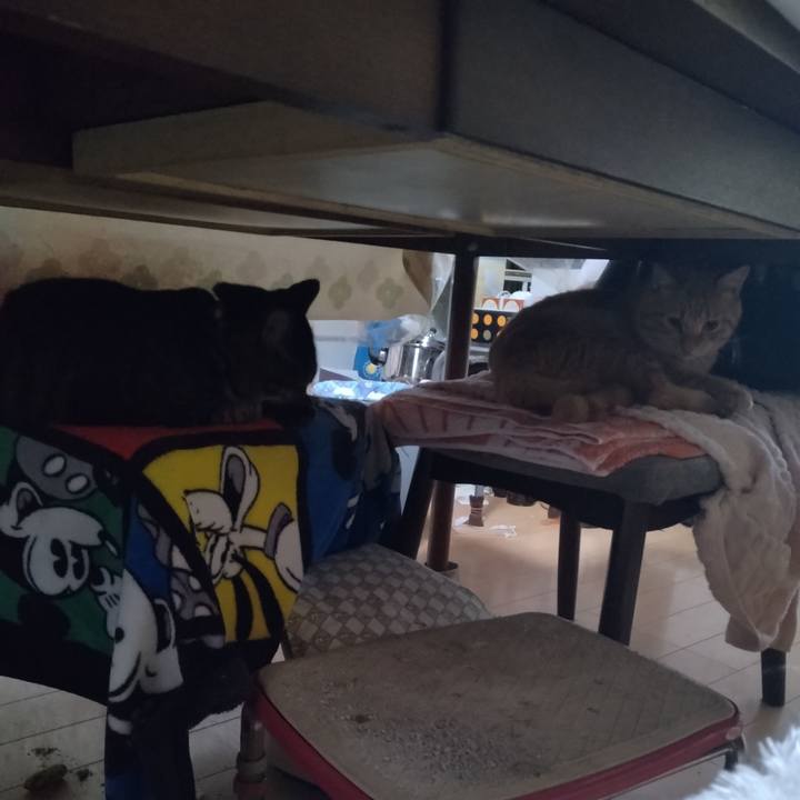 2875bde6 a687 4ca6 80a1 87c0d6ed5ba6 1667340786740