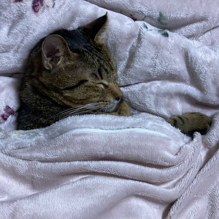 2875d08f 7784 4ffc ad1d ae1e16bd7cba 1668040424157