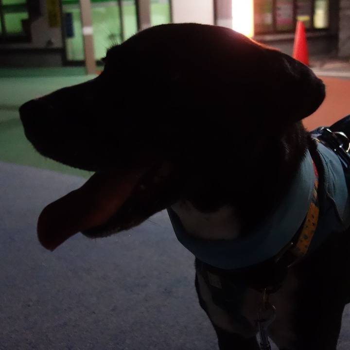 2875dd3b 5d39 4208 b314 4e42c1cfb303 1630148150501