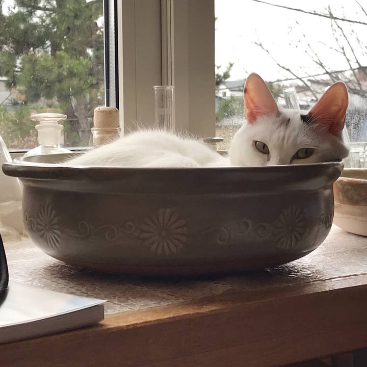 2875fc35 79ae 4cf4 b4cb a142d4b191a3 1556756939281