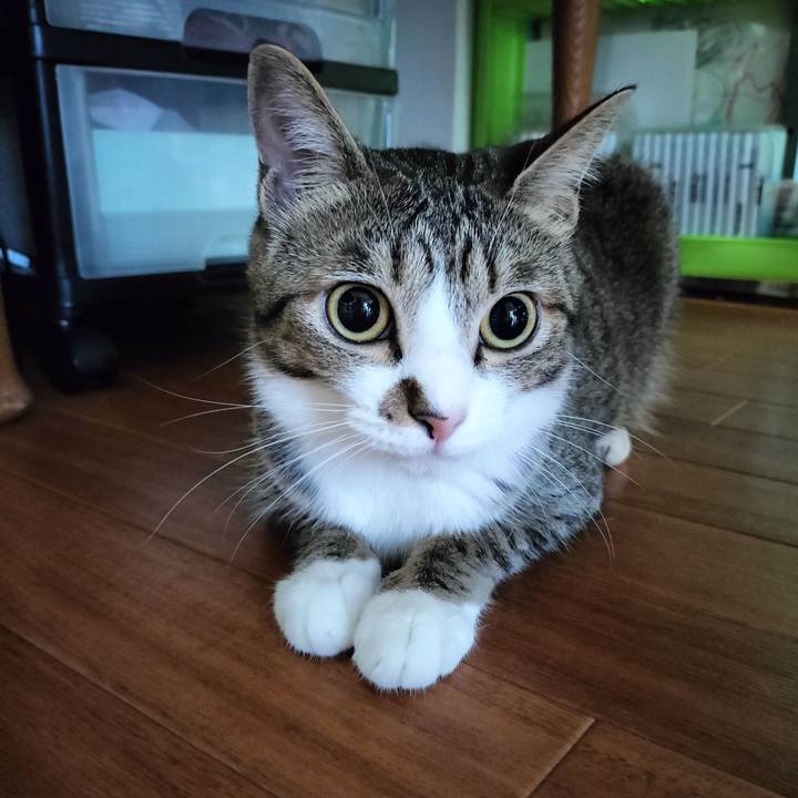 28760d1f 2f38 4729 a1f8 b2cad8405ce9 1696369844948