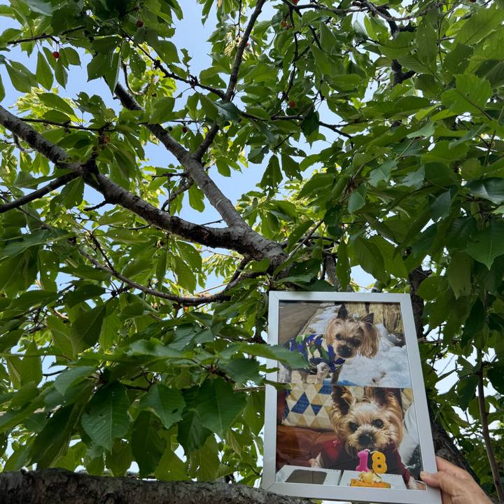 28762622 38ba 4c11 93f1 c8b69b121d72 1751362849962