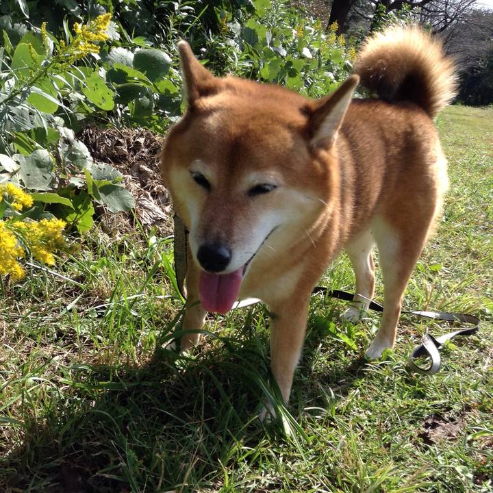 28763ea8 2ac7 4b58 b3c2 a2441ab88621 1540364177633