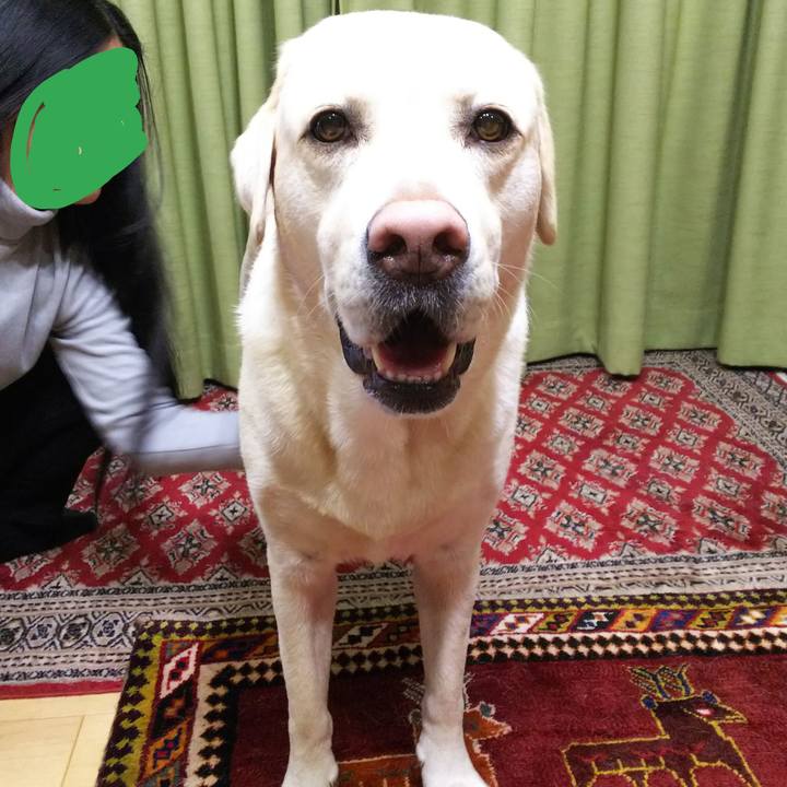 287671da 5189 432a 9682 e4f83dd2428b 1575287099087