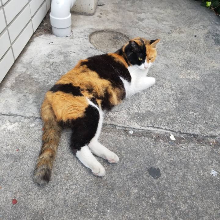 28767d33 b656 4c4b 9dbf df1ed710814c 1564610415845