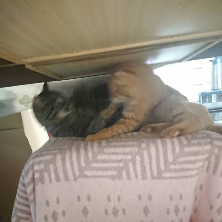 2876f3ff 73fb 487a a710 146be180e95c 1654503578445