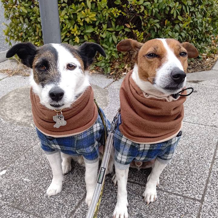 28771285 15bb 472c b829 52d9b02b99a2 1675727263241