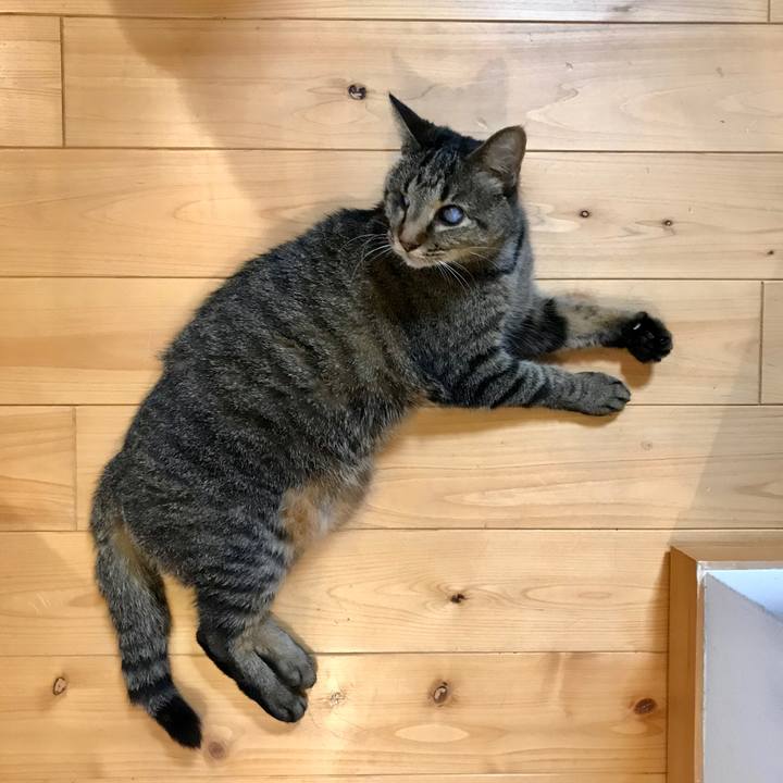 287732be 765e 4e72 99fc ccc6bc4dfb1d 1561514028372