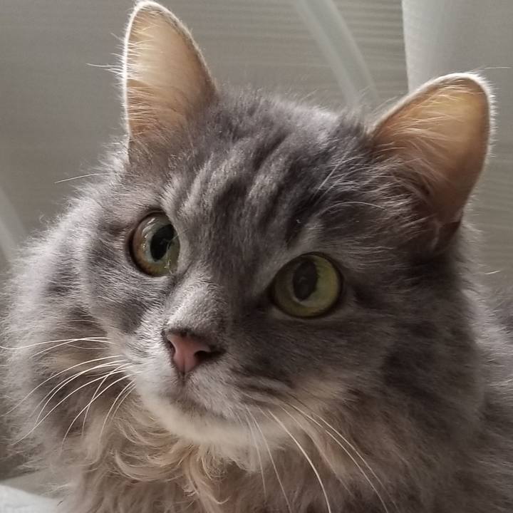 28775ec6 ed72 42bd a5dd f597deb282b2 1556320339693