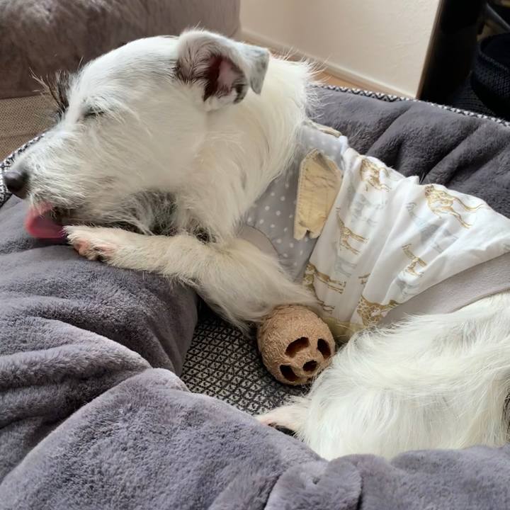 2877625e 82ee 4da9 813b 38b281f2aaef 1592970375928