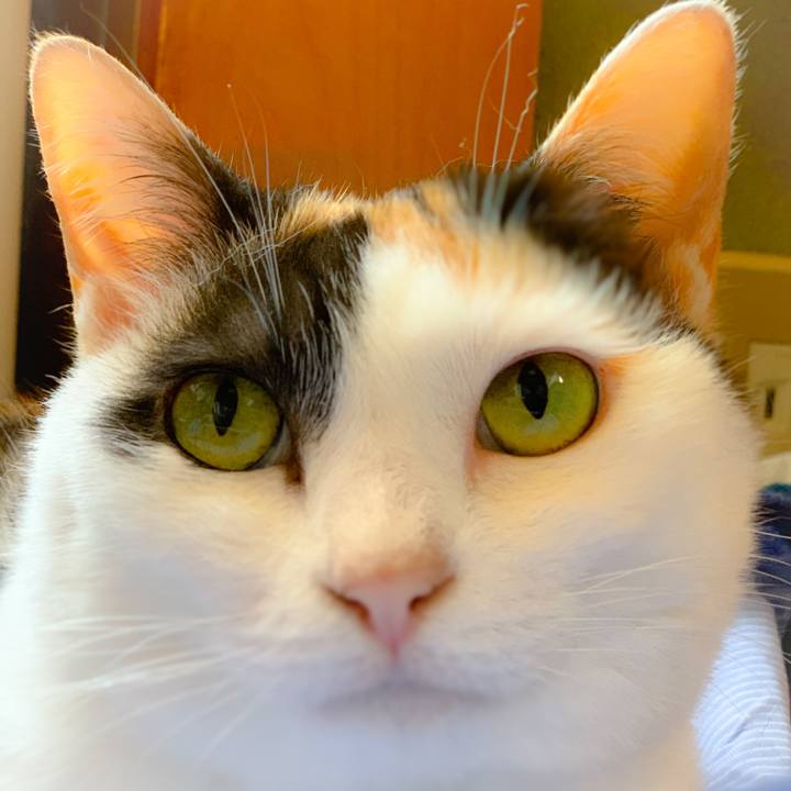 2877f719 1d1e 42d9 877c e264462723bb 1561422884148