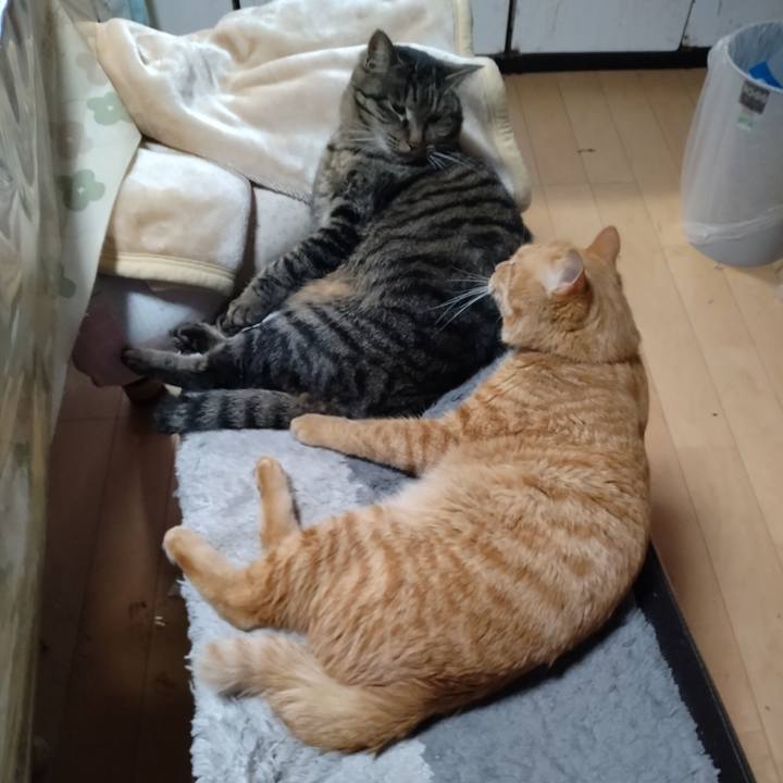 28785472 9eaa 44fd 8a8e 351b5596d201 1671320137716