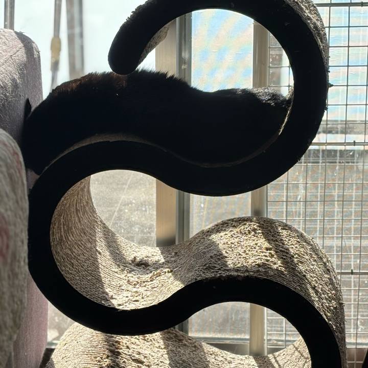 287864ea 1264 4c9d 9742 a282e0c4c3dc 1769739184358