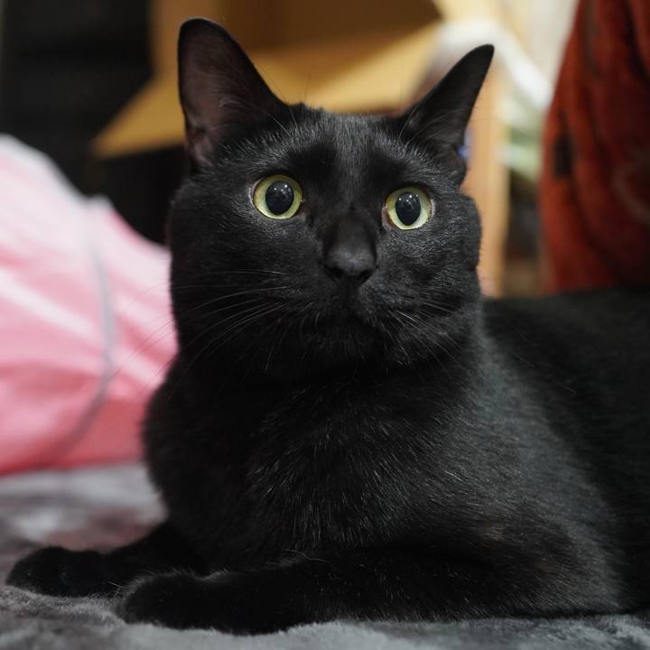 28787797 0df1 4bea 9027 d8d4e7a12e76 1605523054620