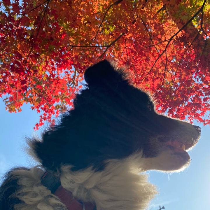 2878f51e 0c23 4302 a737 8563d530b6fd 1668039902311