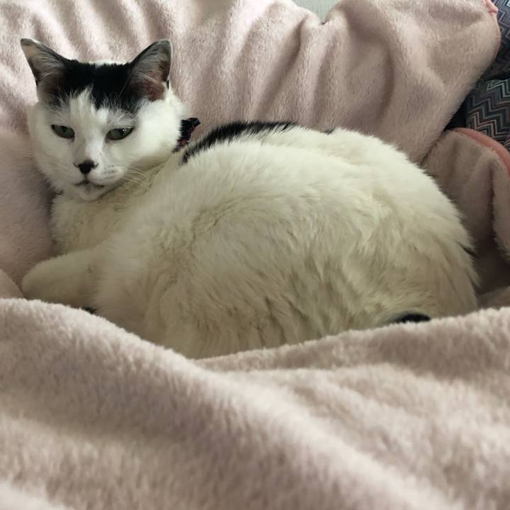 28792bb7 6e71 4199 ba08 af63ab7b5eac 1552519757928