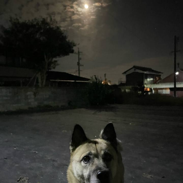 2879bbcd 6f99 4575 8aba a8e9ff62f638 1670591133094