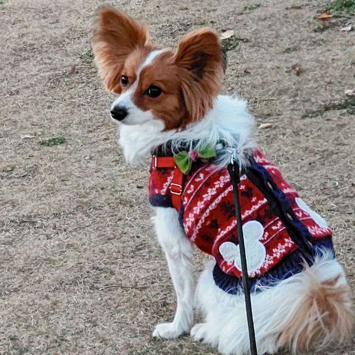 287a1942 e99a 4eb8 8a01 13460e6b7878 1640269349588