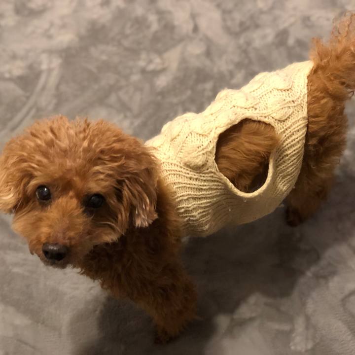 287a3497 5939 45a9 83f3 201a5aa09a2d 1547990137784