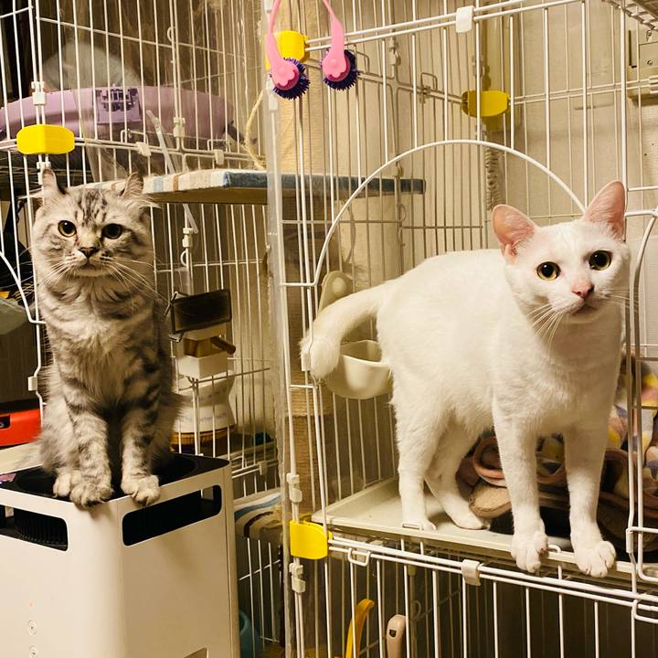 287a936a bfbe 4e4d 8ac7 d46629fe9cf2 1735651084756