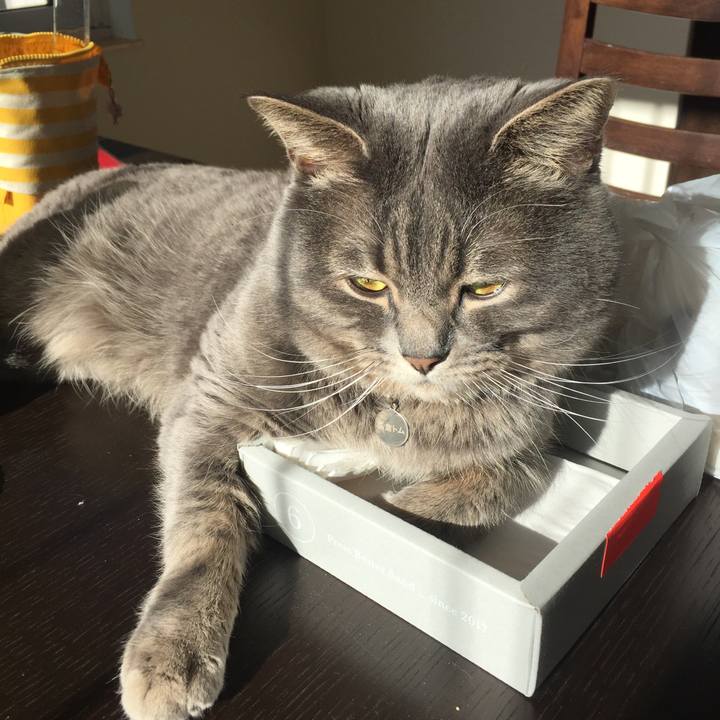 287a9c1f 24ec 420b 8240 e8c3fe479bce 1521588833354