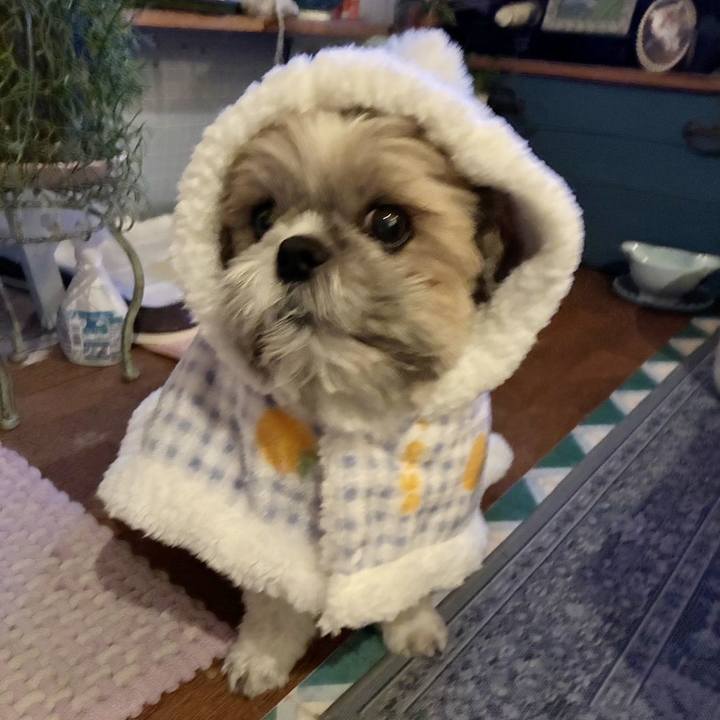 287ac2f2 3565 4d5d 881a 9ef962e523bd 1763718303370