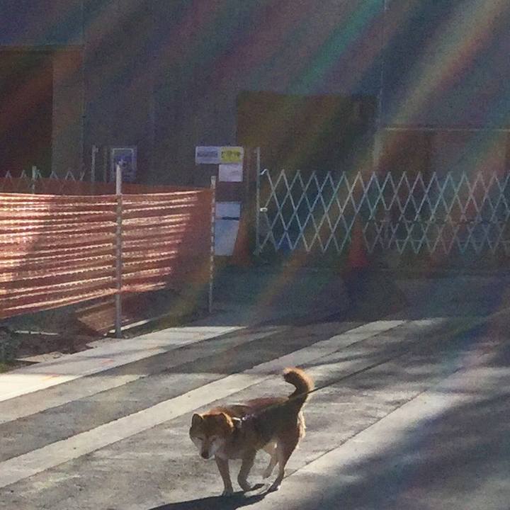 287ad9d0 b546 4eda a1b0 50aa80b3dcd2 1609644339986