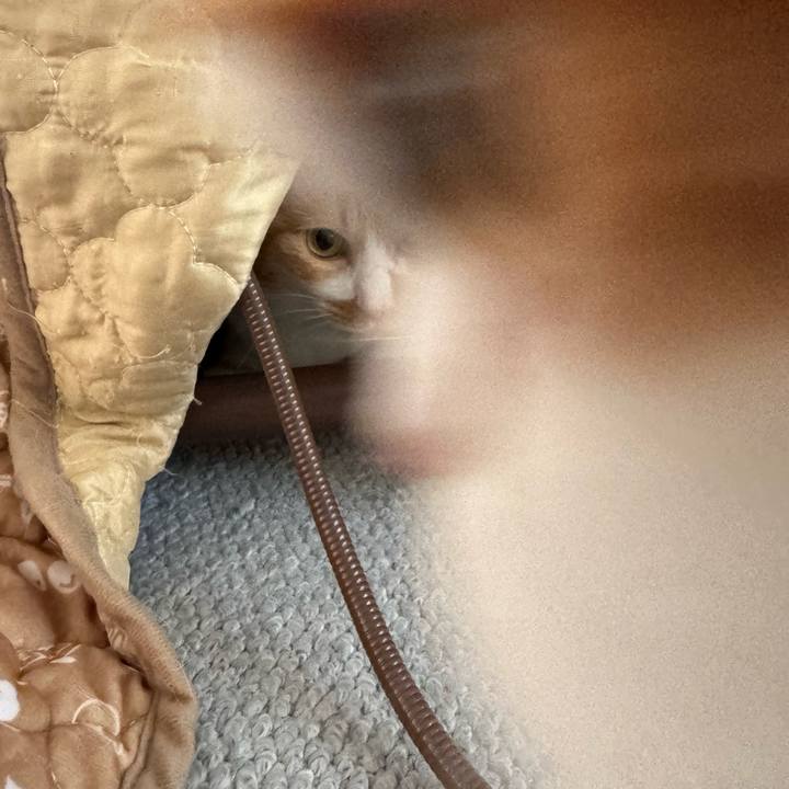 287b060c c54f 415b b549 2354bcaf419c 1763519390032