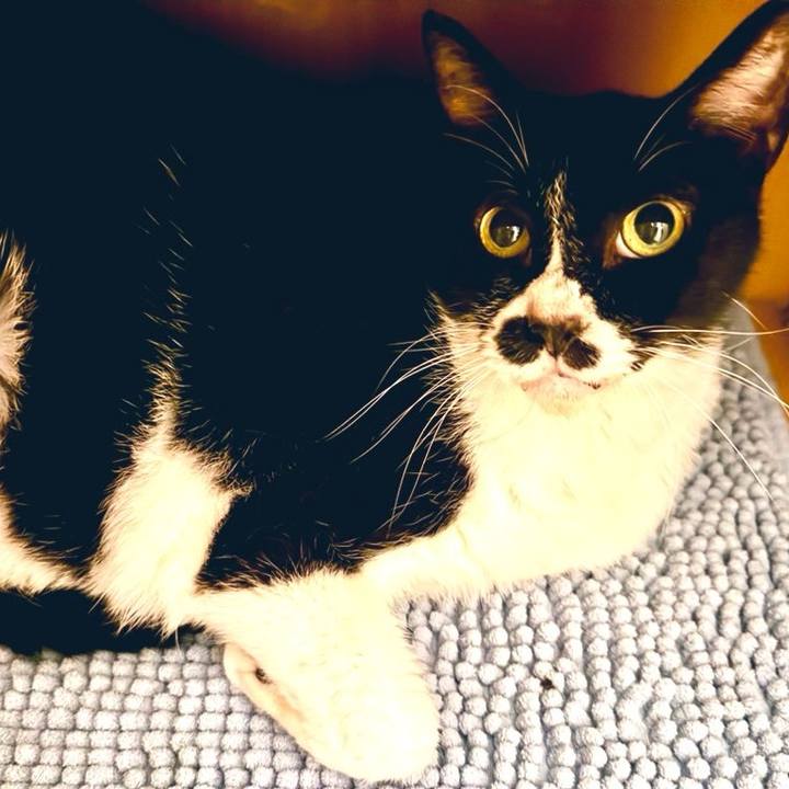 287b6709 5341 410b 990f ee41fec67e0c 1721128601907