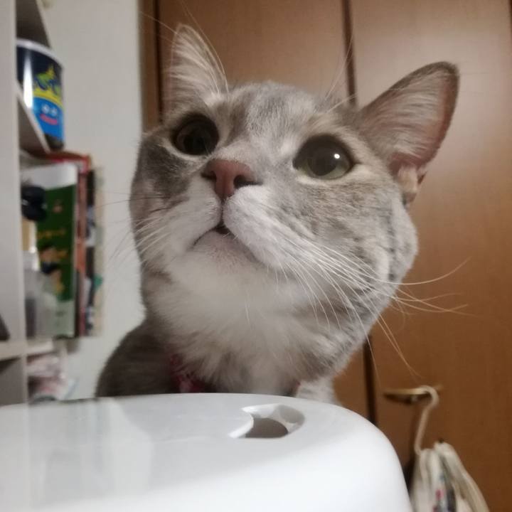 287b9a65 4d65 491d 8c0c 88ec8d898c3a 1512437893911