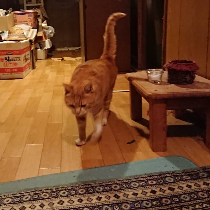 287ba609 8d2c 4d68 aa82 17d5897c4bb8 1577090390415