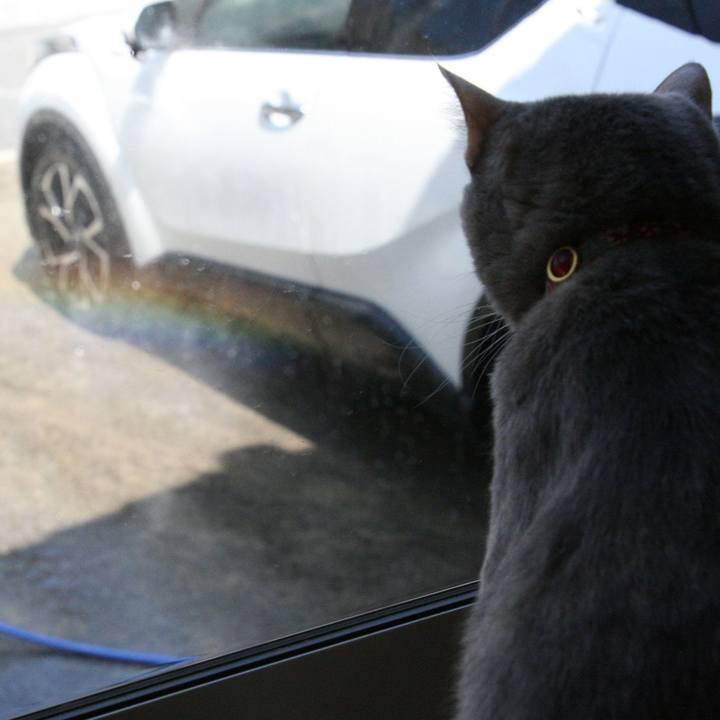 287bafc1 8fd6 45db 9c3b e1f9de3fdd9f 1523339817405