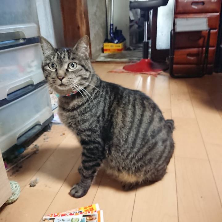 287bfd04 5701 4d02 8fae 45df610f7129 1659476305350