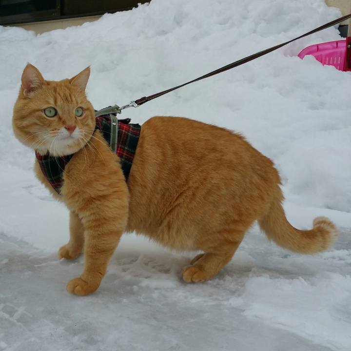 287c04bf d02f 4ec9 b81f ee07c59ca7b2 1517118504290