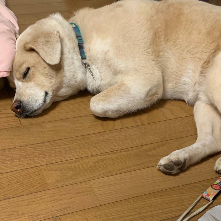 287c1458 b723 455d b9ee 0950ea4e833b 1566228786125