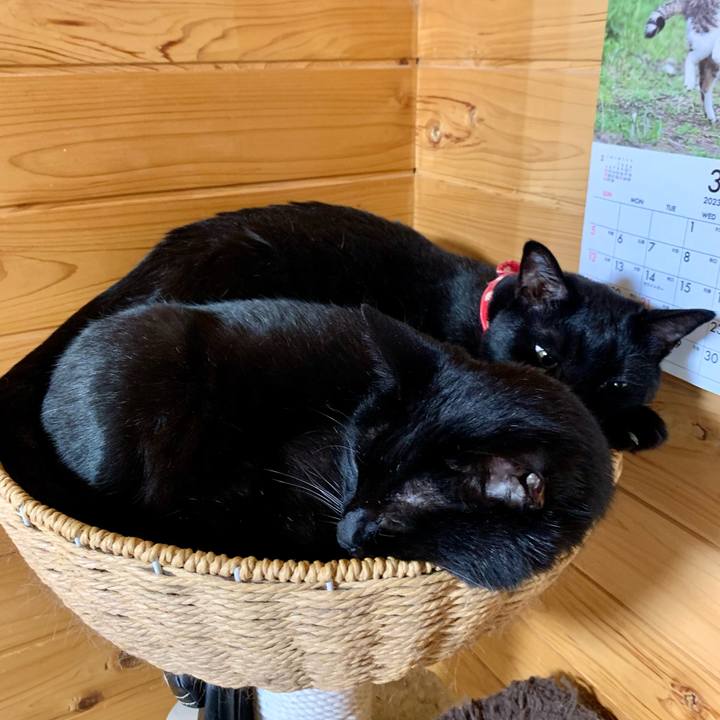 287c3200 ff9c 40c1 b54d cf1840f647ff 1680136123902