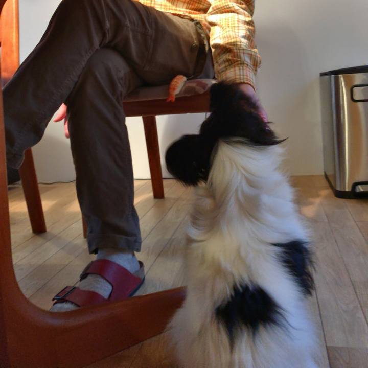 287c3ae6 78b9 4dc3 9af8 62900090644e 1513635150731