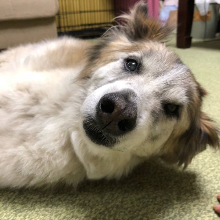 287ca120 1be8 4eea 8e61 305839488574 1529300498823