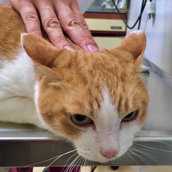 287cb3a1 2c08 47b4 8fb6 50b58b63445d 1574321093158