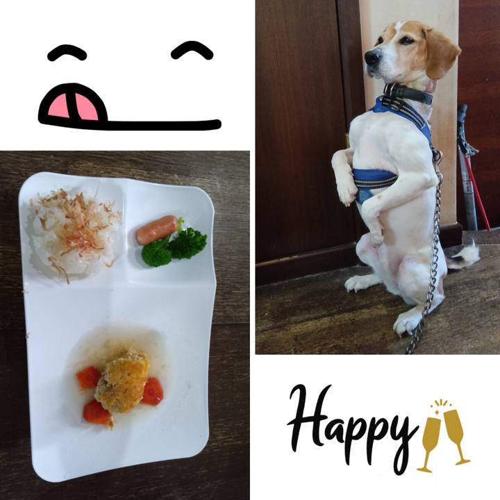 287cbed1 e3d0 4bae 9a40 ca820cbbbddc 1743856106949