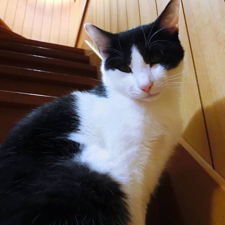 287cc82a 5122 45c3 923b fe20858326ba 1507783040644