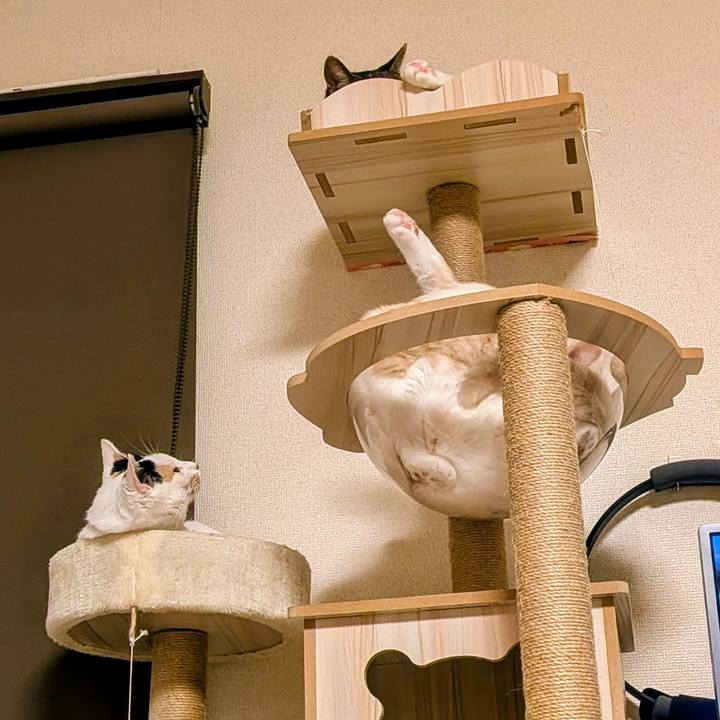 287cd91f 92a2 47f1 8457 075d44f02310 1754228380178