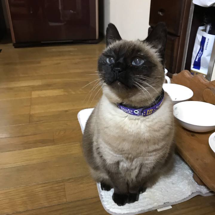 287d0978 552f 483d 8ab8 35dd1bbe0794 1547888478731