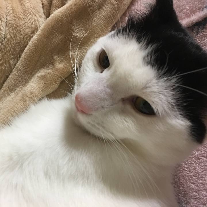 287d1415 a8ed 4ac8 b5ea 46e319d3a9f3 1544527725355