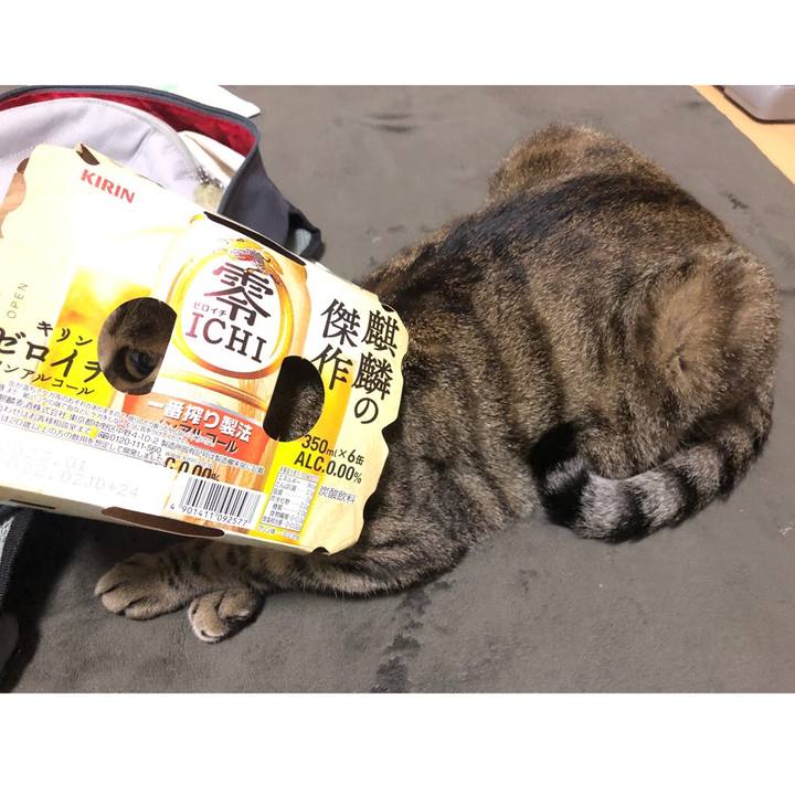 287d35c9 8c86 44ce a9cd be0f4905d5c2 1651290176841