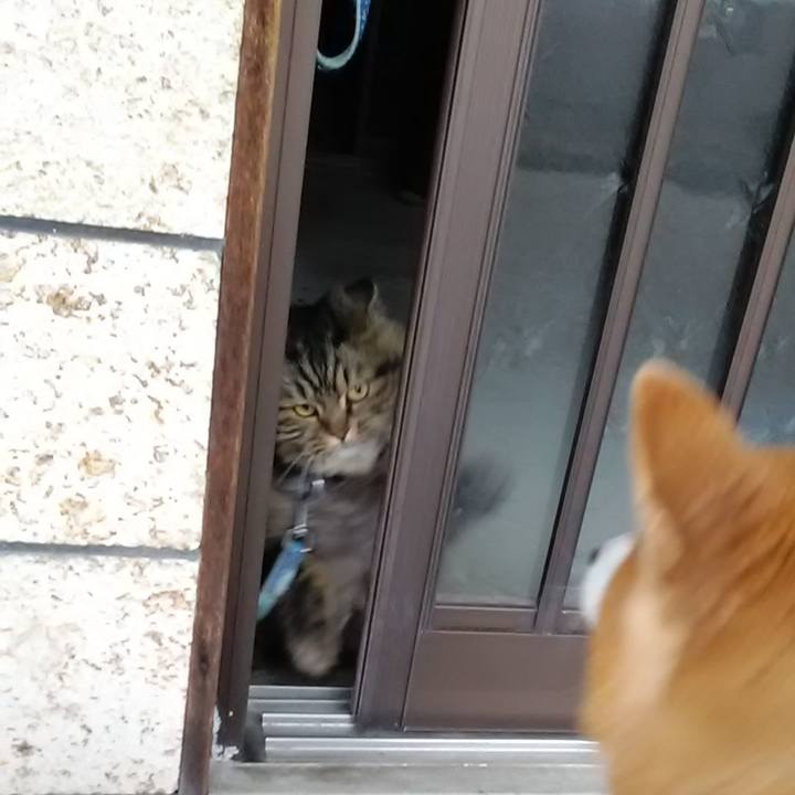 287d3c77 3ba9 46be a1c0 2186acfd53be 1677676274665