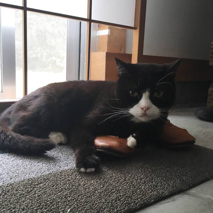 287d630c e1f3 4a35 a15f 0d4fd12bb1a0 1559088343120